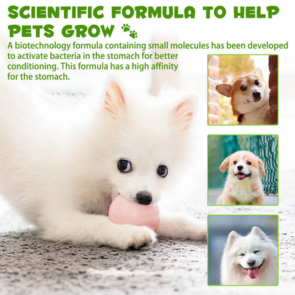GutPup 3-in-1