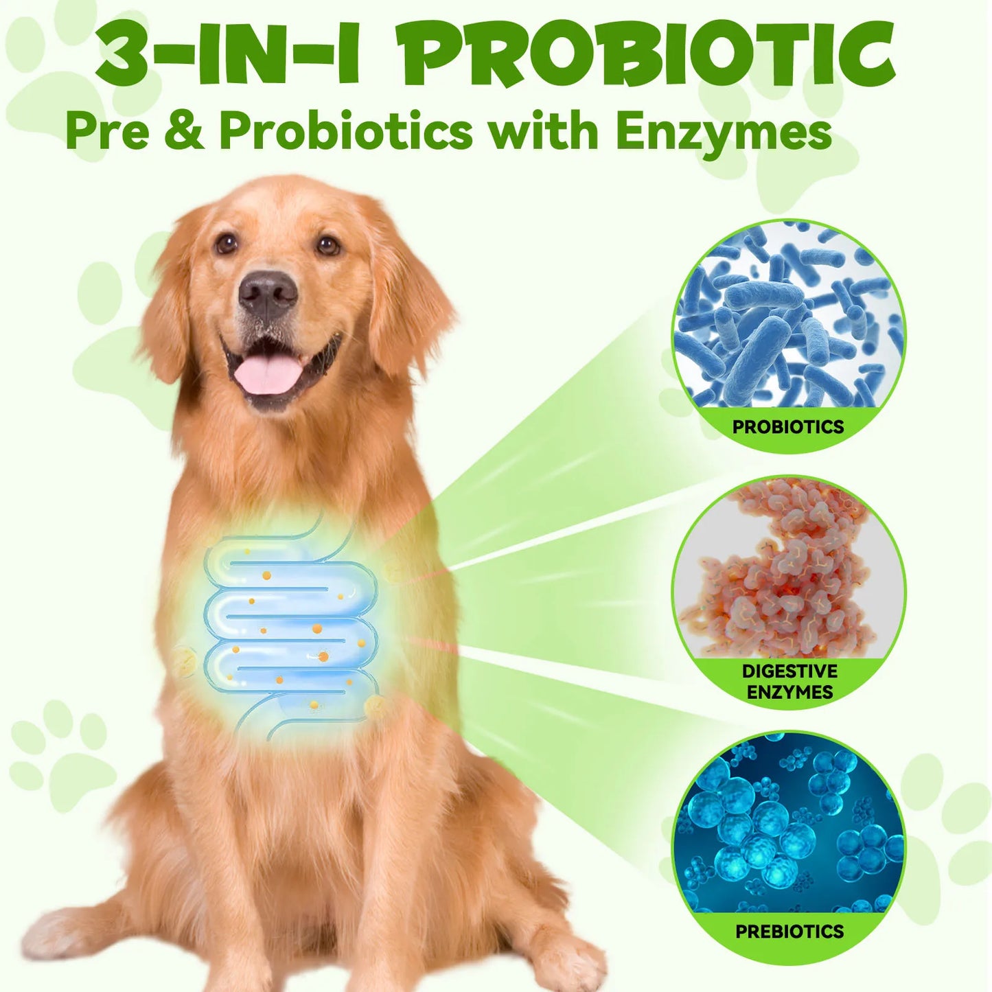 GutPup 3-in-1