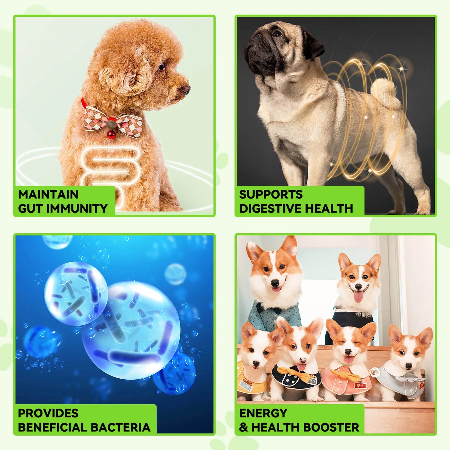 GutPup 3-in-1