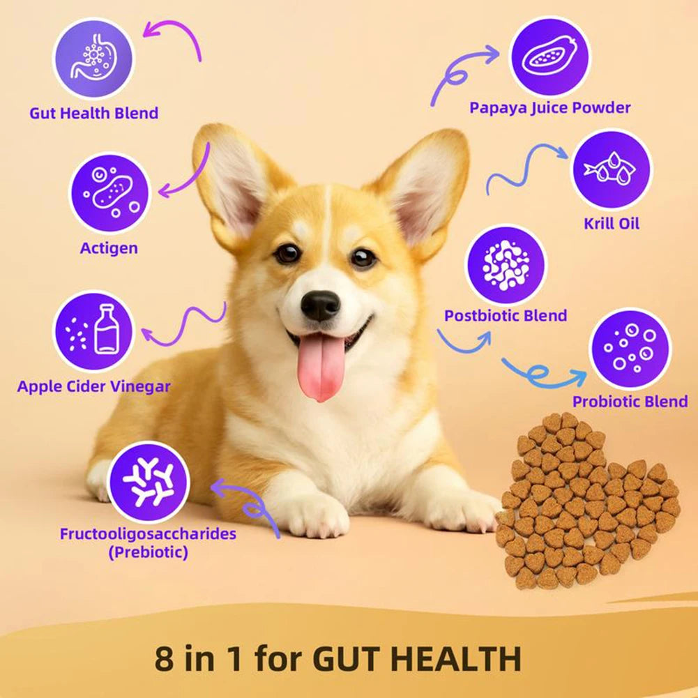 Probiotics Supplements for Dogs