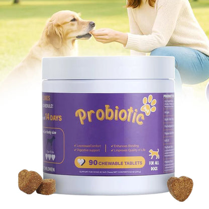 Probiotics Supplements for Dogs