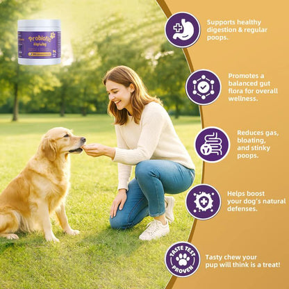 Probiotics Supplements for Dogs