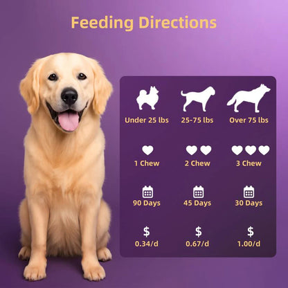 Probiotics Supplements for Dogs