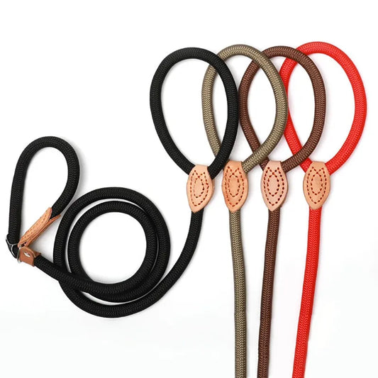 ControlGrip Double Handle Dog Leash
